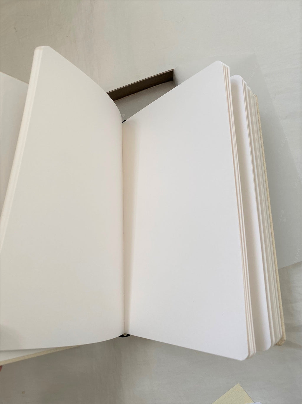 Bvlgari Serpenti snake head notebook