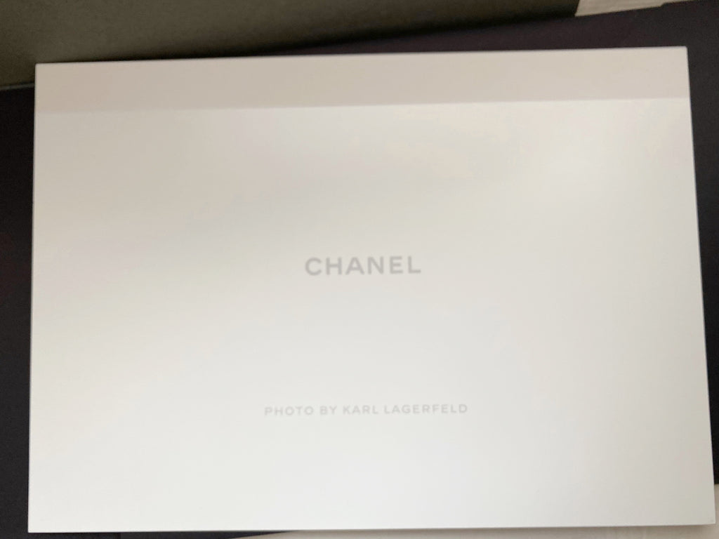 Chanel 2015 Spring Summer 3 girls 3 bags campaign photograph boards