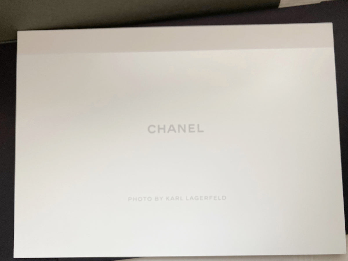 Chanel 2015 Spring Summer 3 girls 3 bags campaign photograph boards