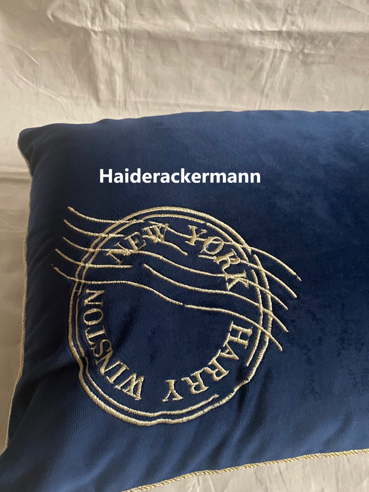 Harry Winston blue velvet cushion