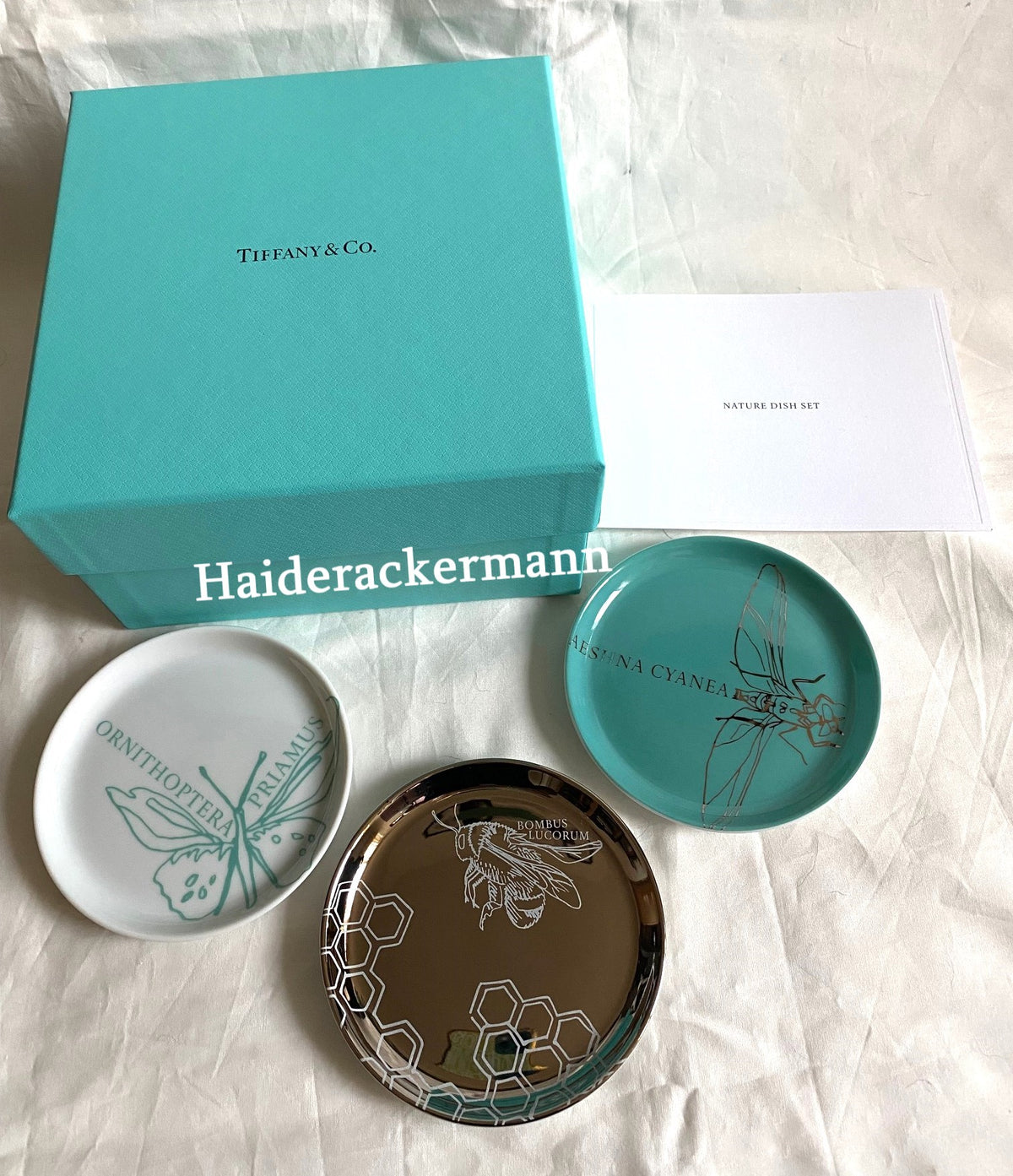 Tiffany & Co 2021 butterfly dragonfly bee motif porcelain trinket dish box set