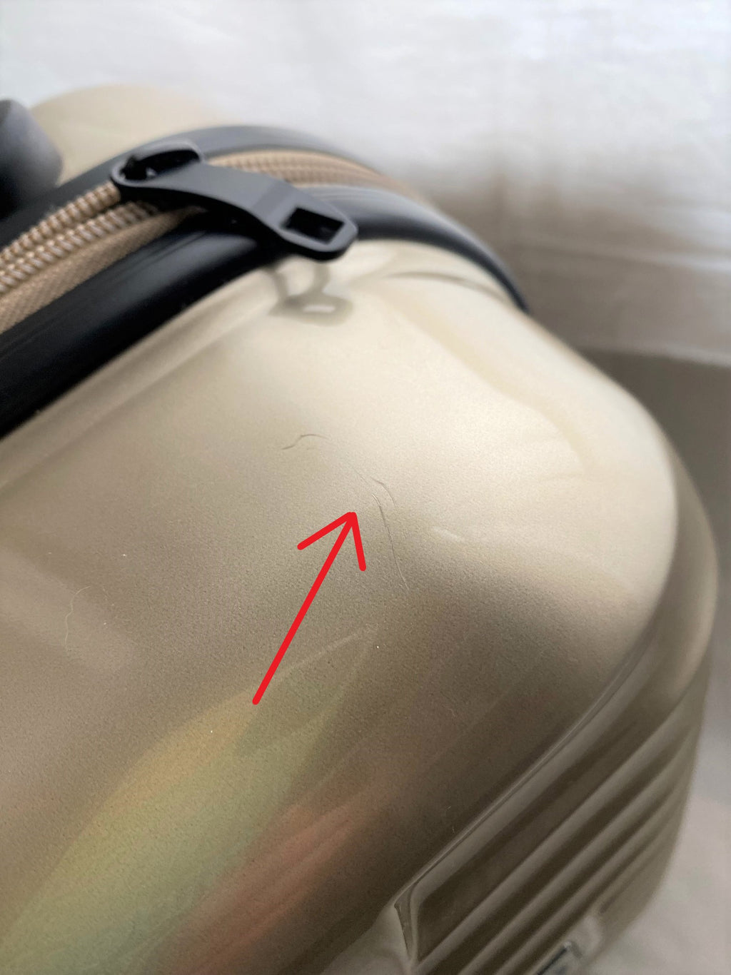 Franck Muller 2014 cabin size luggage