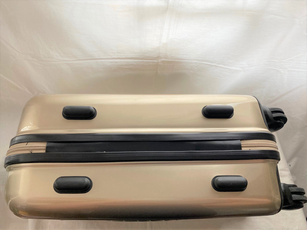 Franck Muller 2014 cabin size luggage