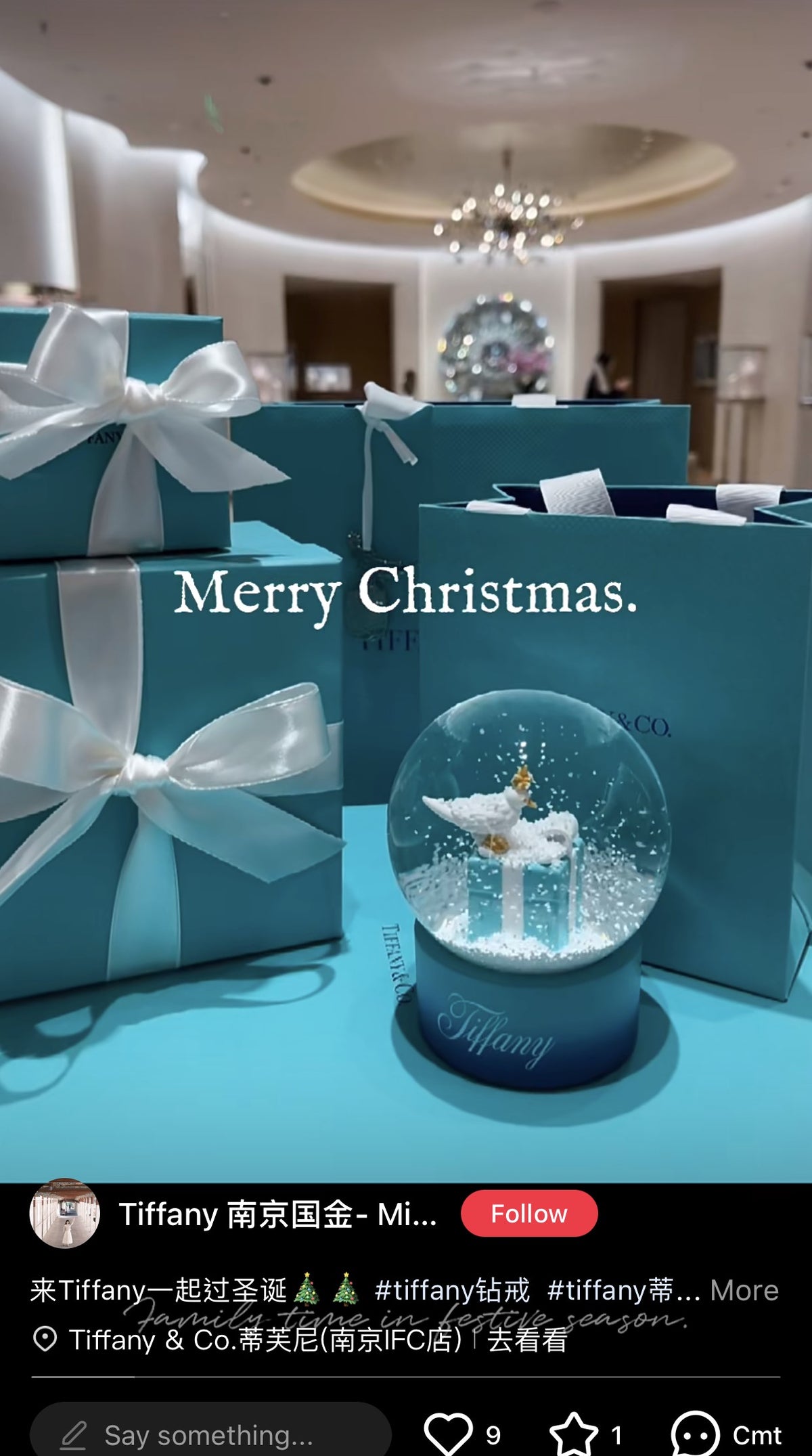 Tiffany & Co 2024 Christmas bird on a rock snow globe